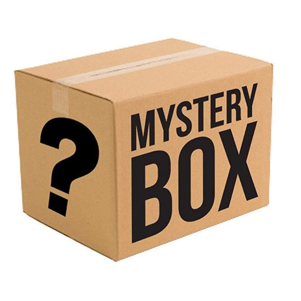 Purses/Accessories Mystery Box